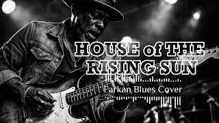  House Of The Rising Sun  The Animal  Farkan Blues Cover