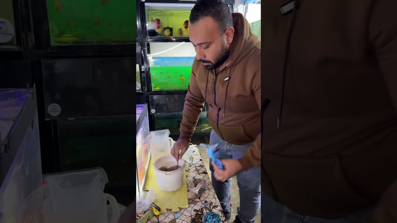 تجهيز الارتيميا مع حسن فؤاد 