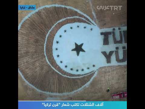آلاف الشتلات تكتب شعار قرن تركيا