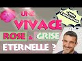 Vivace belle, facile et éternelle ?