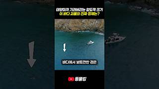 태양마저 지워버리는 2톤짜리 바다 괴물의 정체 ㄷㄷ