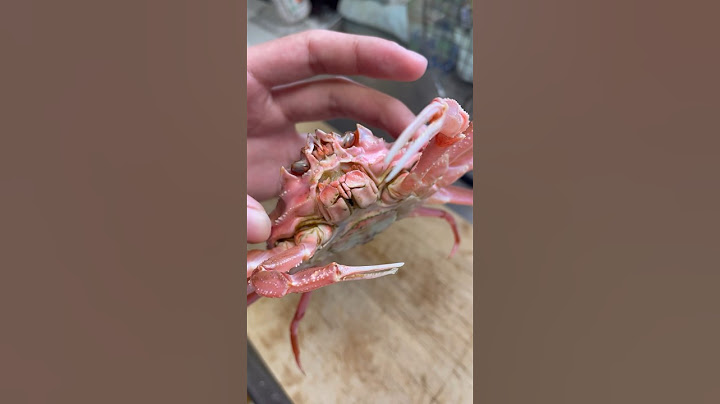 【衝撃映像】スーパーで買ったズワイガニがまだ生きとる‼️