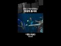 바람 난 아내도 돌아오는 춤사위 | #어쩔수가없다