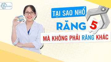 Tại Sao Nhổ Răng 5 Mà Không Phải Răng Nào Khác | Nha Khoa Hoàng Dung Bắc Ninh