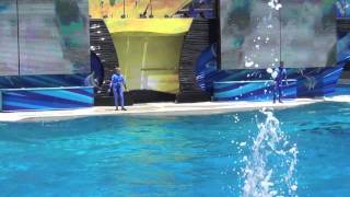 Kasatka & Ulises Fast Swim - One Ocean August 2011