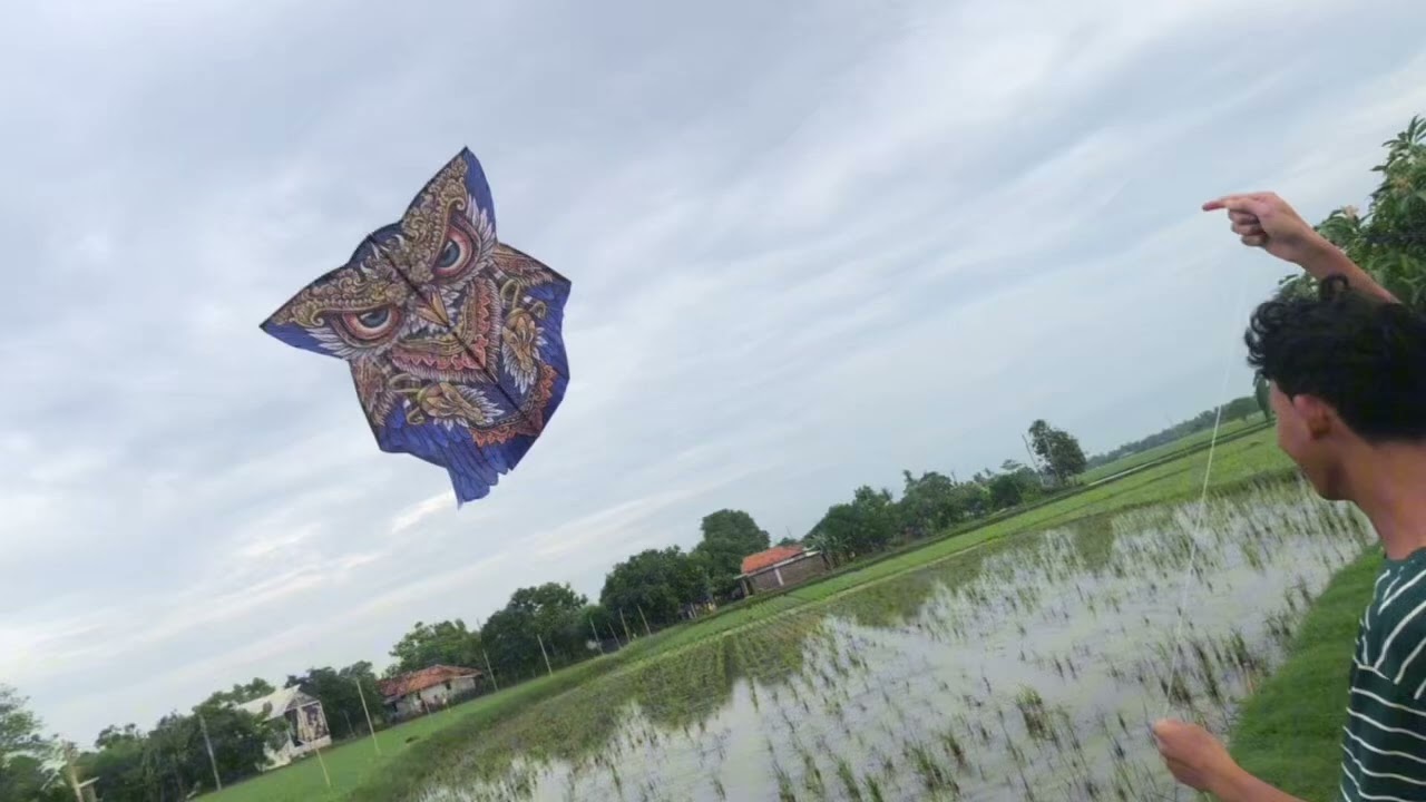 Tes layangan celepuk 2 meter khas Bali big size| ngelog parah 