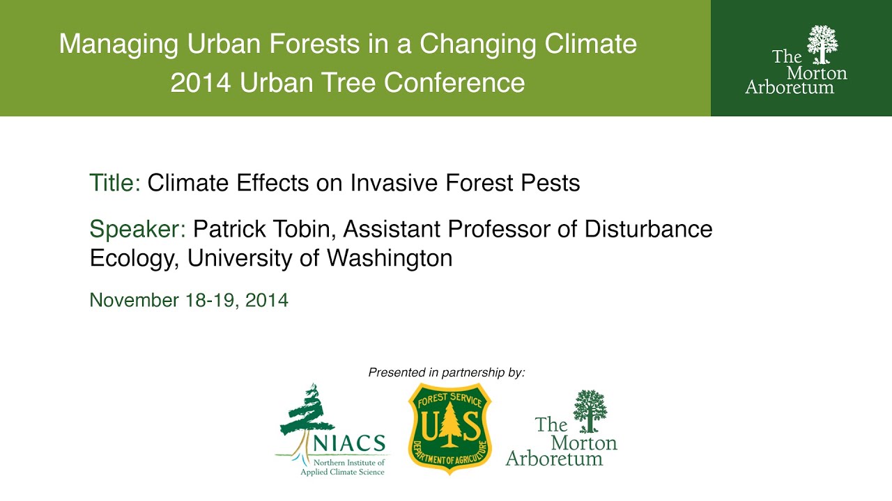 Climate Effects on Invasive Forest Pests