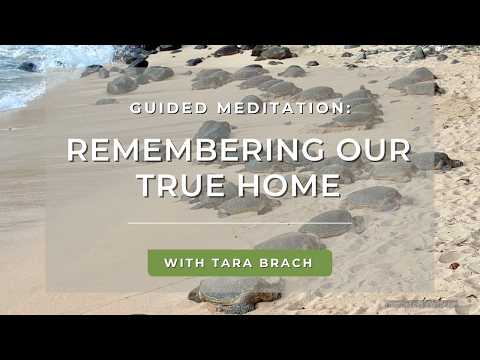 Guided Meditation: Remembering Our True Home | Tara Brach
