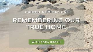 Guided Meditation: Remembering Our True Home | Tara Brach