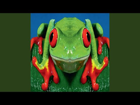 Tidenes tidsfordriv (Remastered 2015)