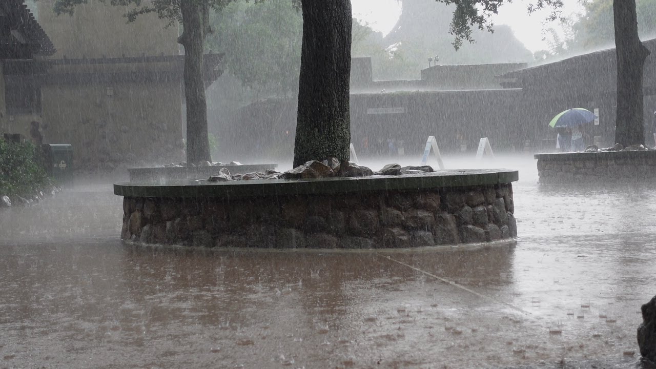 Heavy Rain At Disney World