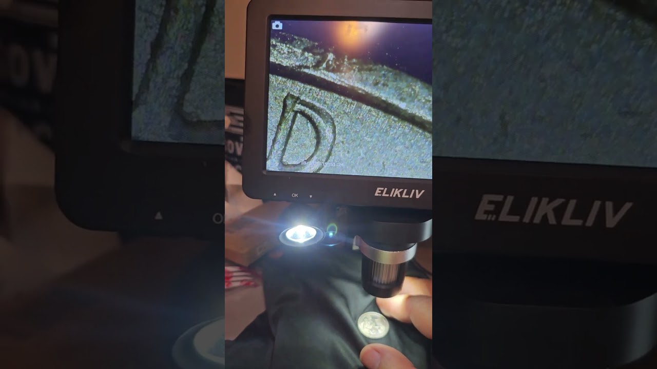 Coin collecting with kids 101: future coin hunts