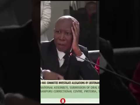 Julius Malema Helps Vusimusi CAT Matlala 