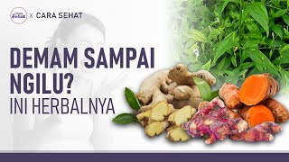 Ramuan Alami Untuk Batuk, Flu Dan Tubuh Ngilu Hidup Sehat Tvone