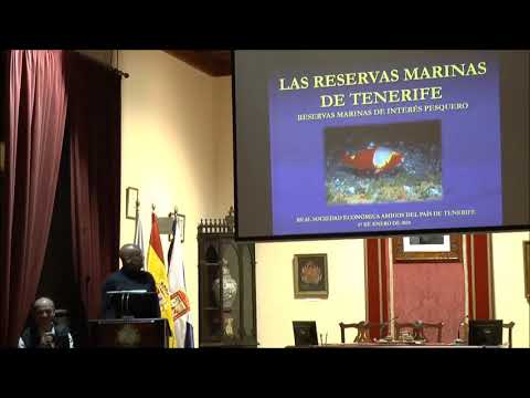 Video: Configuración de una Crabitat: Elección de un sustrato para cangrejos ermitaños de tierra