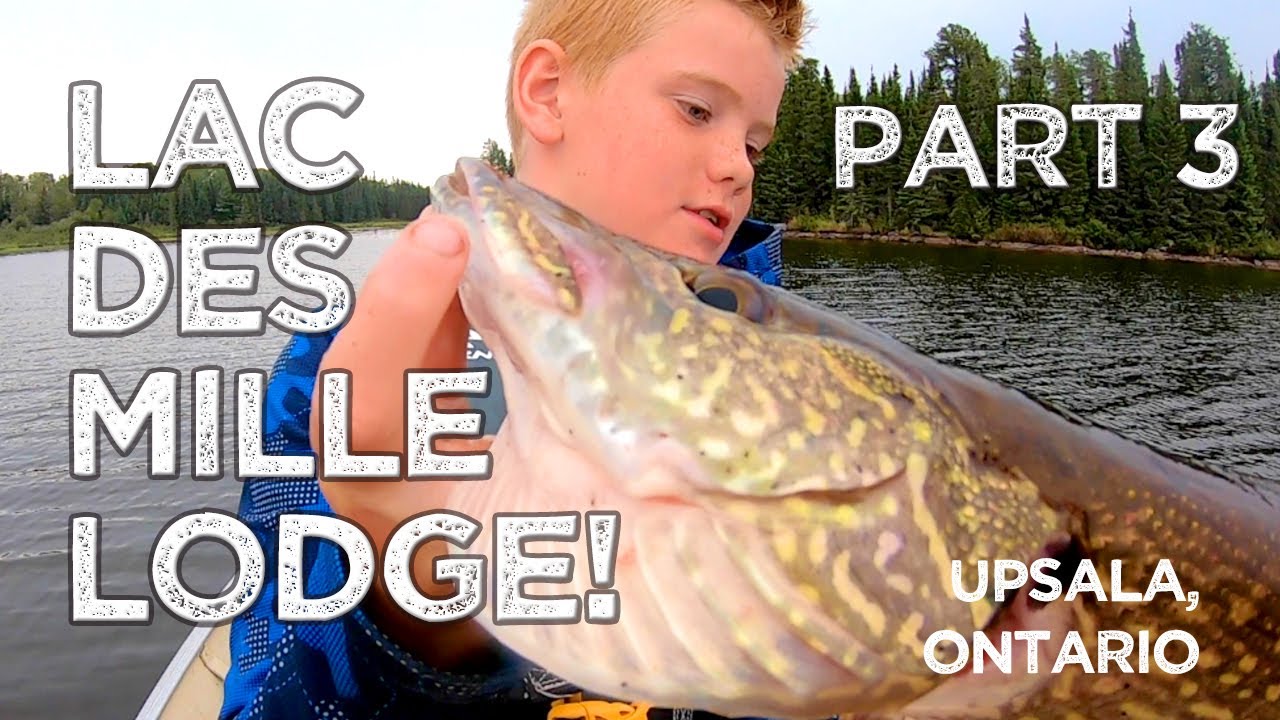 BIRTHDAY trip to Lac Des Mille Lodge - Part 3 - BIG BASS PIKE WALLEYE