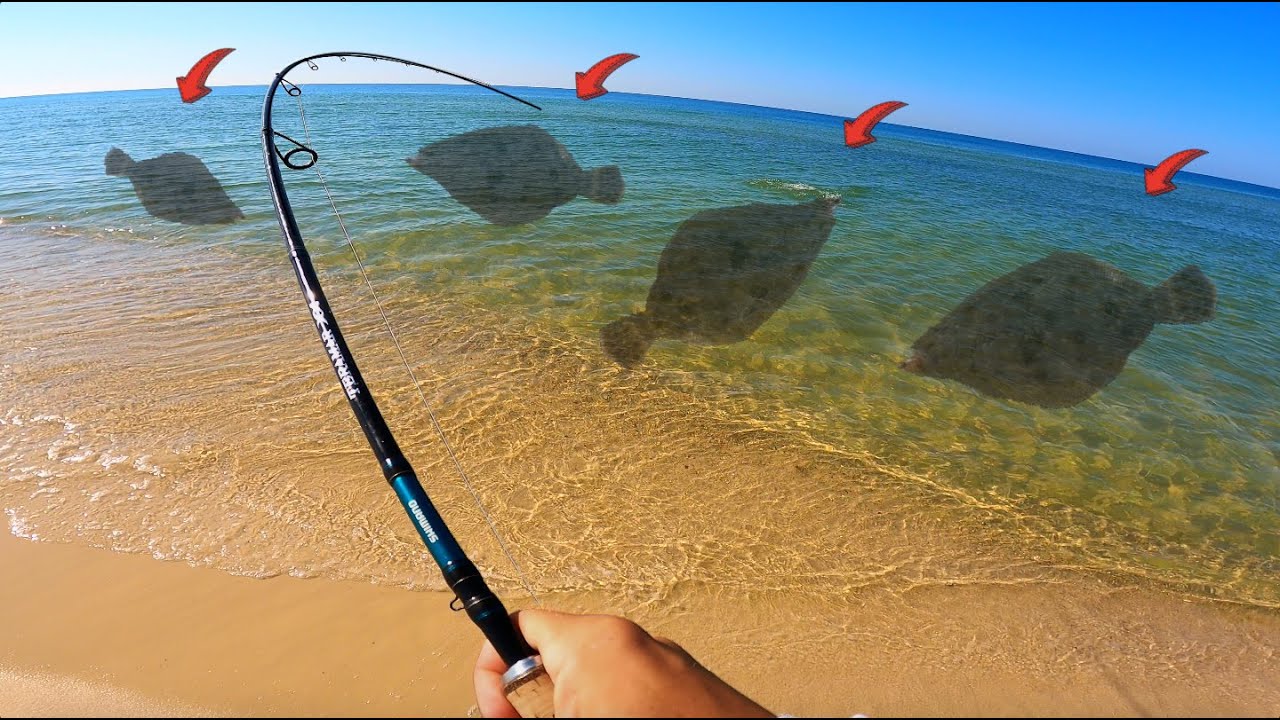 Catch LOADS of Flounder from the Beach! *Everything You Need to Know*