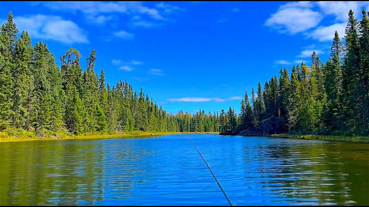 Bass Fishing and Backcountry Camping, Dryberry Lake ,Ontario.