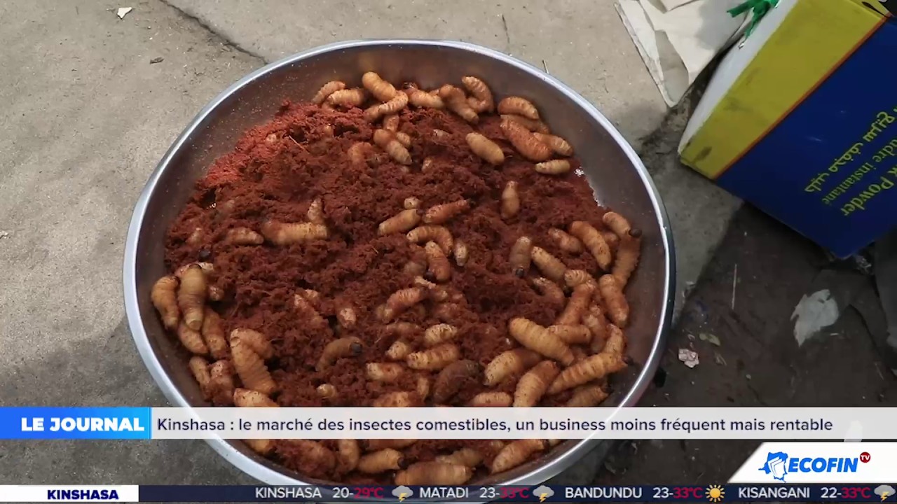 JT 20H 26 FEV 2026 : LE MARCHÉ DES INSECTES COMESTIBLES, UN BUSINESS MOINS FREQUENT MAIS RENTABLE