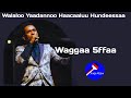 Walaloo Yaadannoo Haacaaluu Hundeessaa Waggaa 5ffaa 