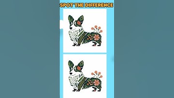 Find 3 Differences 🔍 Attention Test 🤓 Pay attention to the smallest details#sprunki
