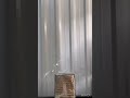 Broken Cup Listen With Sound 