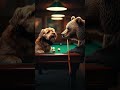 Ai Cat Video, Viral video #aicatvideo #aiinnovation#viralvideo #funnycats