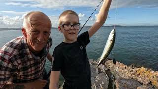 BRIXHAM ON THE MACKEREL , 5.5.24