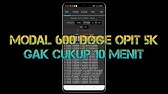 Modal 1600 Doge 15 Menit Opit 5k Relandice Bot 999dice Strategi Fibonacci Youtube