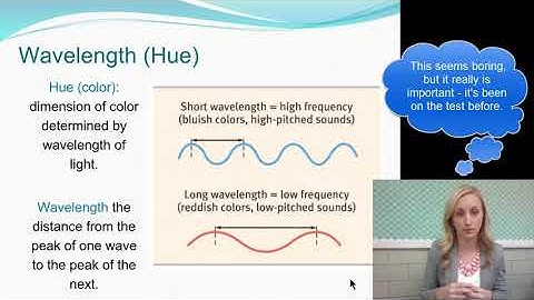 Vision Flipped Notes Part One for AP Psychology by Mandy  Rice