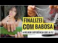 GEL CASEIRO DE BABOSA/
FINALIZAÇÃO