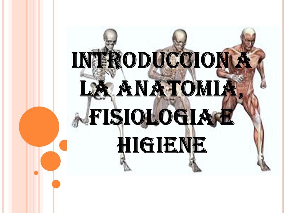 INTRODUCCION A LA ANATOMIA, FISIOLOGIA E HIGIENE PARTE1 - YouTube