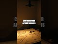 The Night the Cartographers Rewrote a Nation 🗺️