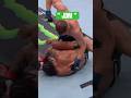 👀 UFC's; Jack Della Maddalena w/ BRUTAL; " GROUND &amp; POUND ", against Gilbert Burns !!! #mma #ufc