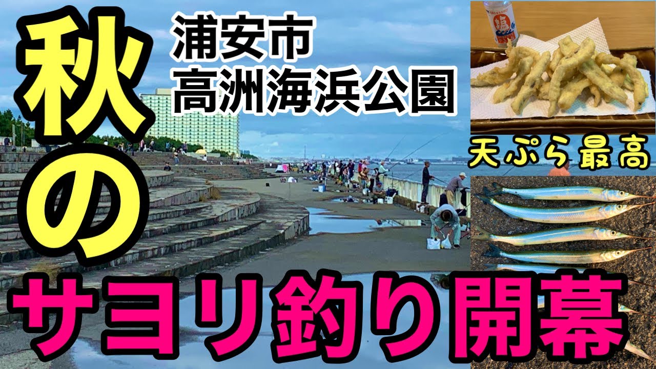 サヨリ堤防釣り 秋のサヨリ釣りシーズン到来 浦安仕掛けでサヨリ好調 サヨリの天ぷら最高に美味い Youtube サヨリ堤防釣り 秋のサヨリ釣りシーズン到来 浦安仕掛けでサヨリ好調 サヨリの天ぷら最高に美味い Youtube