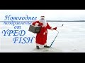 Новогоднее поздравление от YPED_FISH