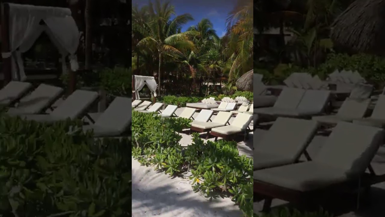 TRS Yucatan The Royal beach with private section YouTube