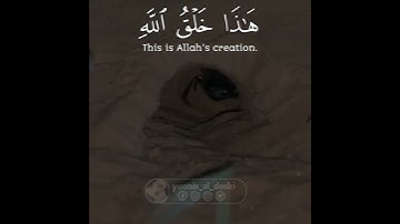 تلاوة عراقية مؤثرة للقارئ يونس الدوسكي
