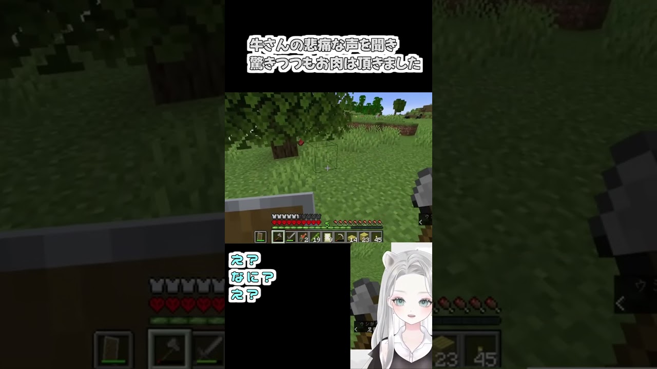 【#Minecraft】「え?何!?」牛さんの悲鳴に困惑するもちゃっかりお肉を回収するましろです 【真白ゆゆ #ゲーム実況 #マイクラ ハードコア 】