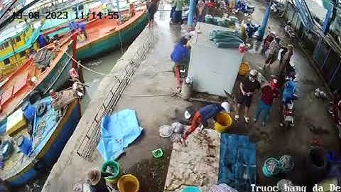 Bến Khôi My - Vàm Láng cào ngày sông cầu ghe vào mỗi ngày cá tôm hải sản tươi sống, giá rẻ bất ngờ