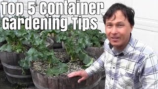 Top 5 Container Gardening Tips