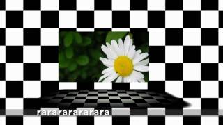 Ice at night of summer