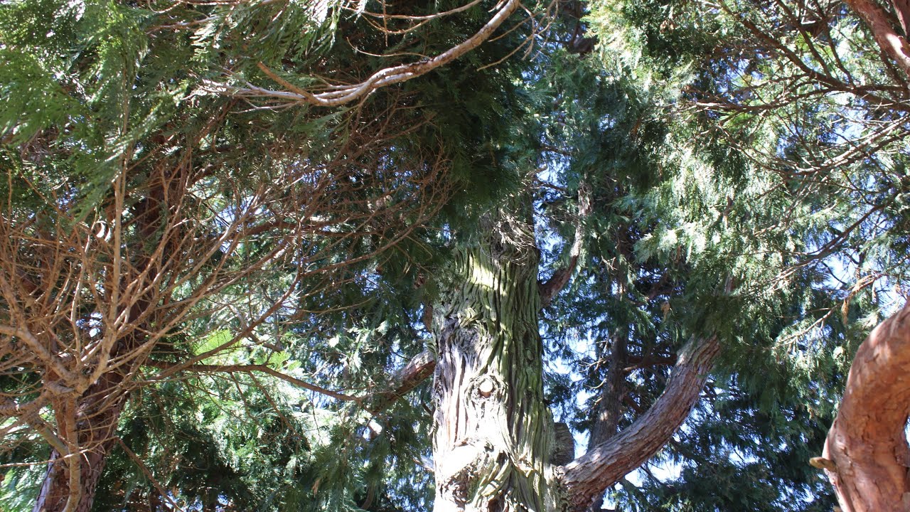 the-over-giver-105-why-is-my-life-so-hard-if-i-am-a-chosen-one-106