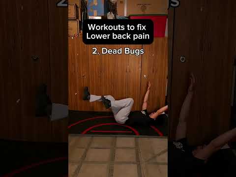 4 Workouts To Fix Lower Back Pain by Mojica Matrix