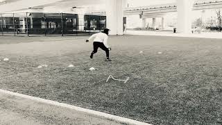 IMG 7088