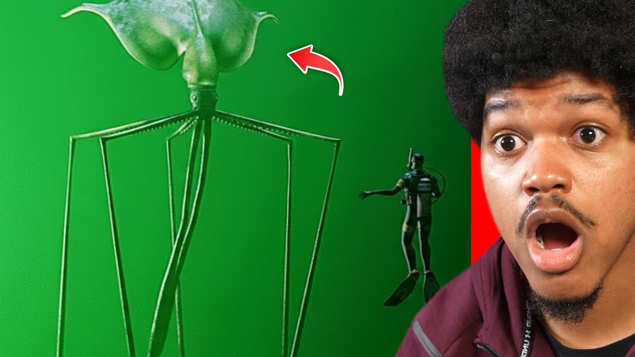 The Deep Sea Is Horrifying