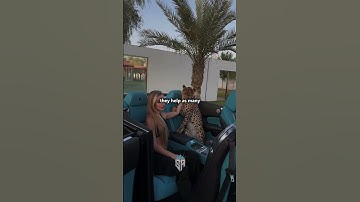 Get back to work, check the comments to start! 🐺 #motivation #mindset #entrepreneur #success #shorts