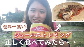 シュールストレミング Youtube