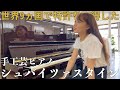 ヤマハのグランドピアノよりも高額だった職人手工芸ピアノがこちらです。【シュバイツァスタインSE-300】