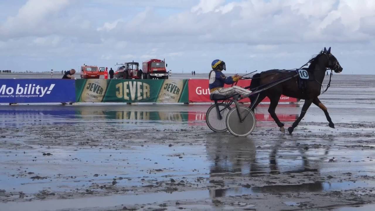 Duhner Wattrennen 2016 (Cuxhavener Nachrichten/Niederelbe-Zeitung)